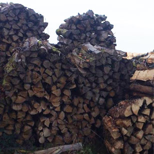 Bois de charpente à Aixe sur Vienne